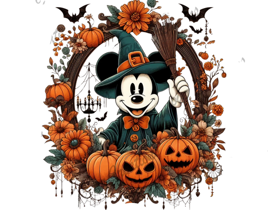 MOUSE(KIDS) SHIRT ONLY
